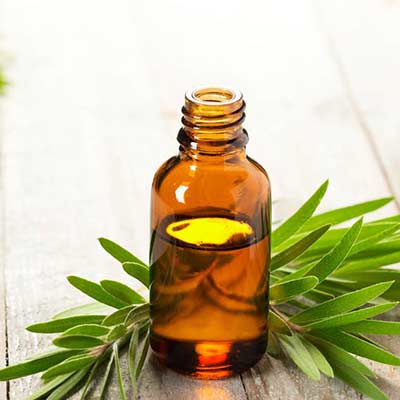 Benefits of Tea Tree Oil
