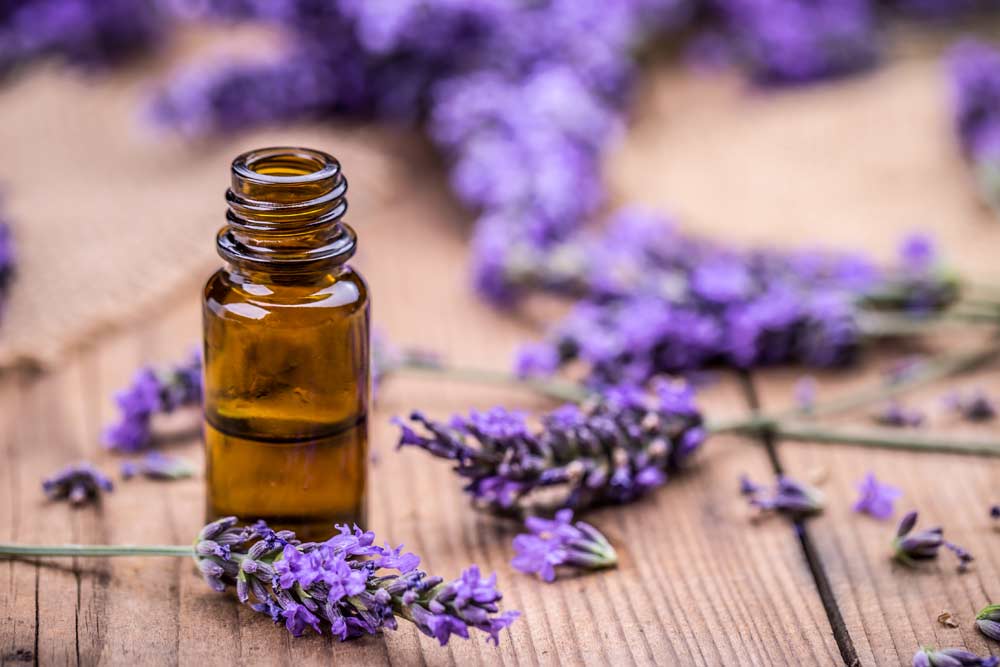Rosemary Essential Oil Benefits